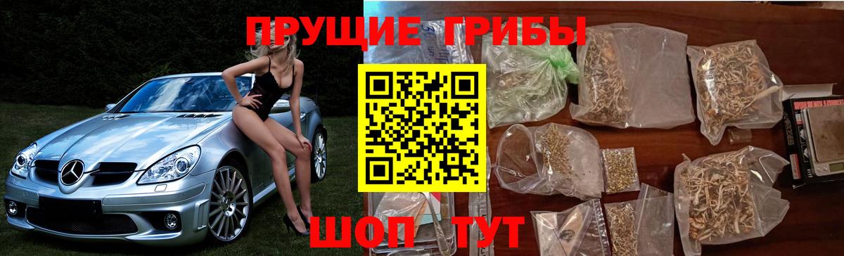 Галлюциногенные грибы мицелий Мариинск