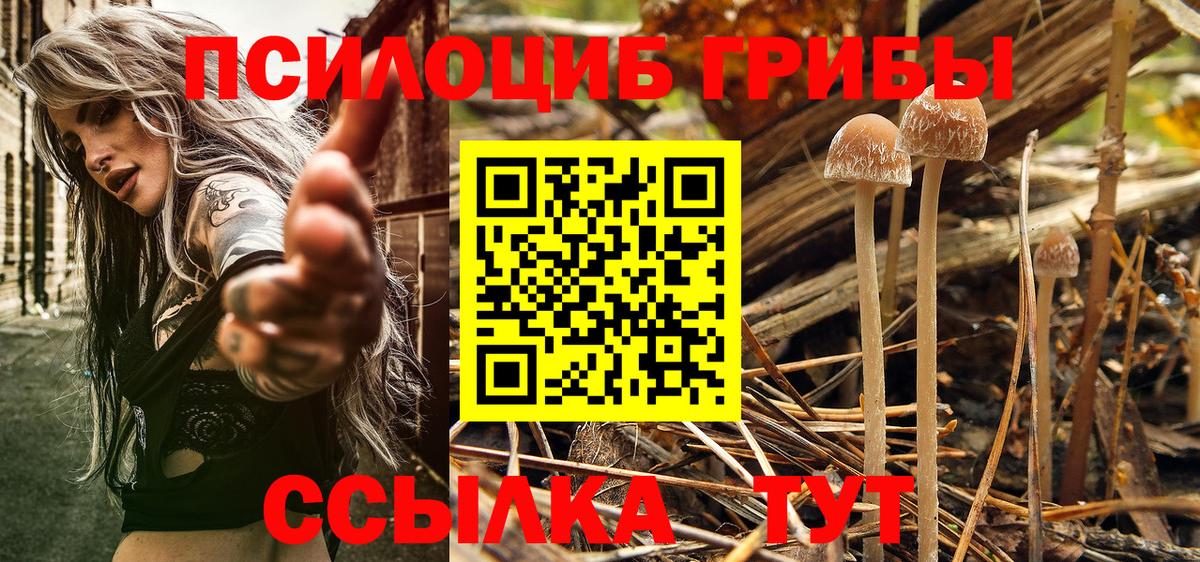 Мариинск  Галлюциногенные грибы мицелий  Вход с VPN  Псилоцибиновые грибы GOLDEN TEACHER 